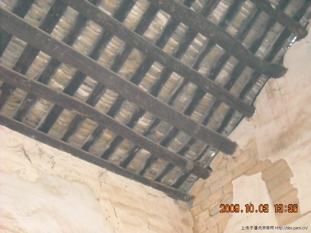 2010\05\29\1940148442776.jpg                                                                        